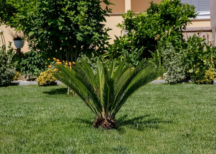 דירה Luka ראב