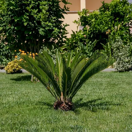 Apartment Luka Rab Town